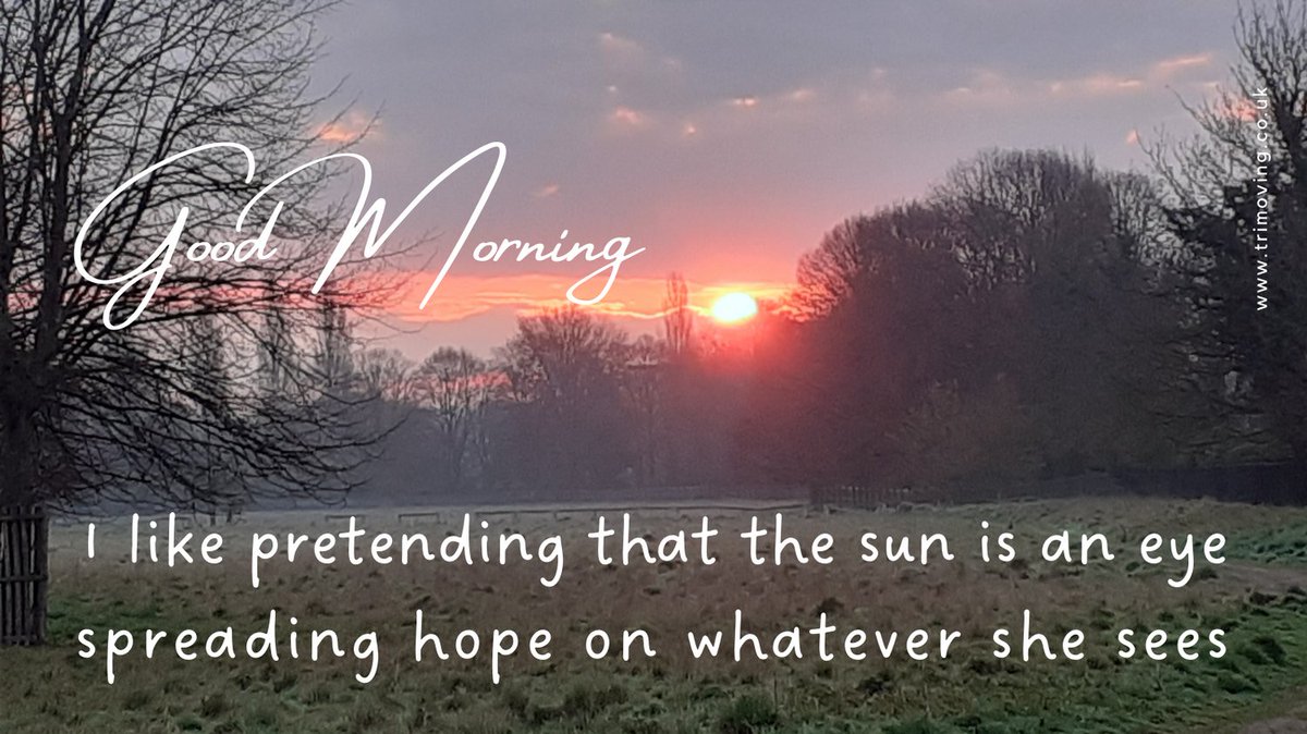 trimoving's tweet photo. Good morning – I like pretending that the sun is an eye spreading hope on whatever she sees.
#goodmorning #wednesdaythought #wednesdayvibe #morning #sunrise #amateurphotography #sun #spreadhope #suneye https://t.co/Fgc0J6CAxP
