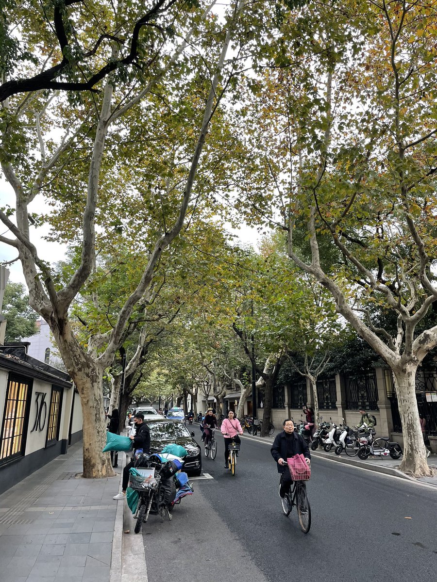 NZhunt3r's tweet photo. Running around for a couple of meetings/cups of coffee this afternoon. WuKang Road is not a bad spot here in Shanghai, always plenty of people around taking photos. #TheFrontLines #NZVenison https://t.co/uHGy3HE5AY