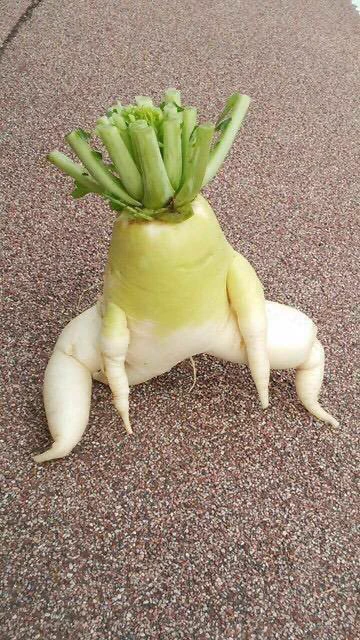 @noukanoyosasan つらい時には、いつも彼女に癒されています 