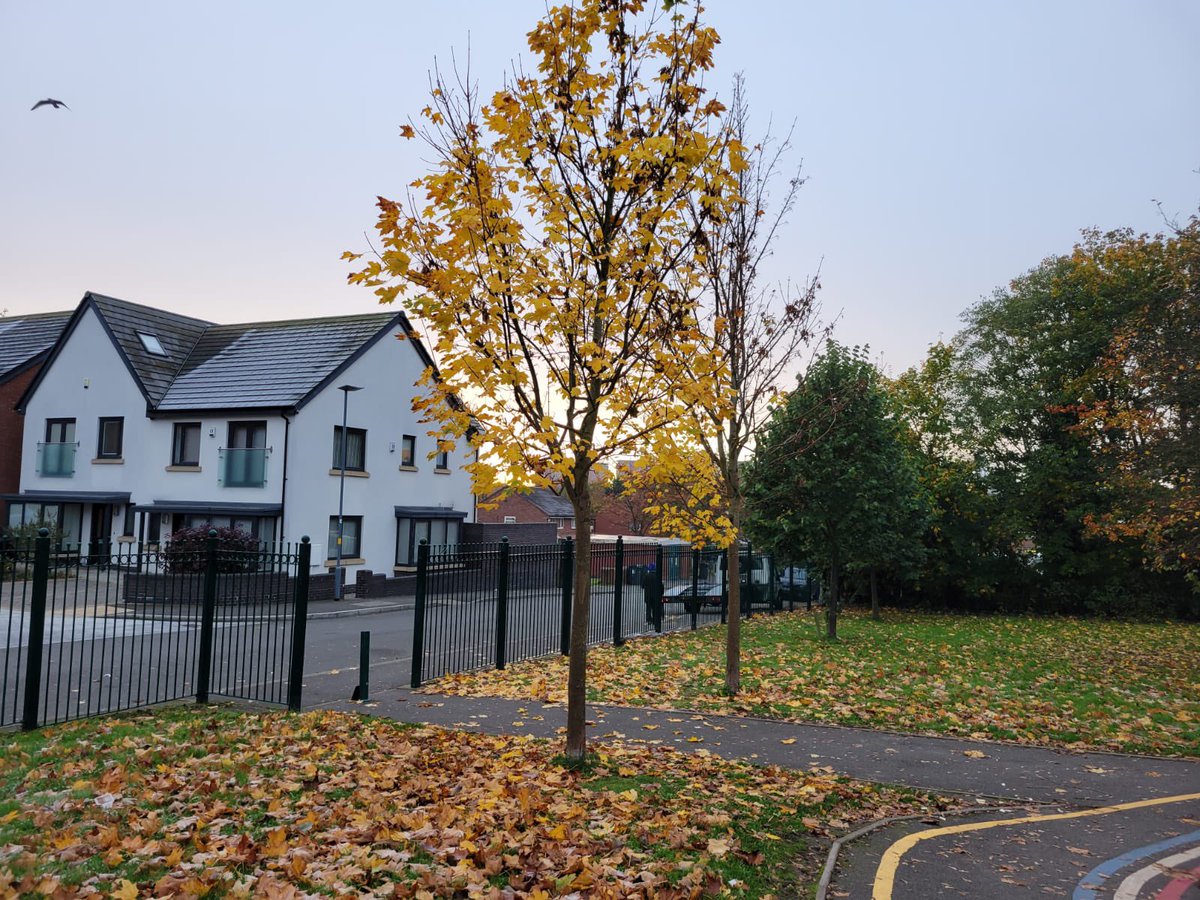 georges_park's tweet photo. Morning all. Don’t forget to make use of your parks this autumn 🍂 https://t.co/Yd9GMpKSUY
