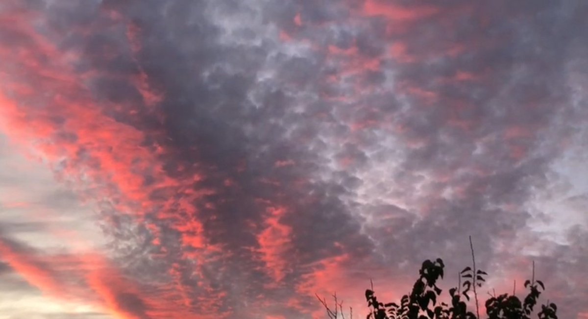 cs_savunucusu's tweet image. Aşık olundu