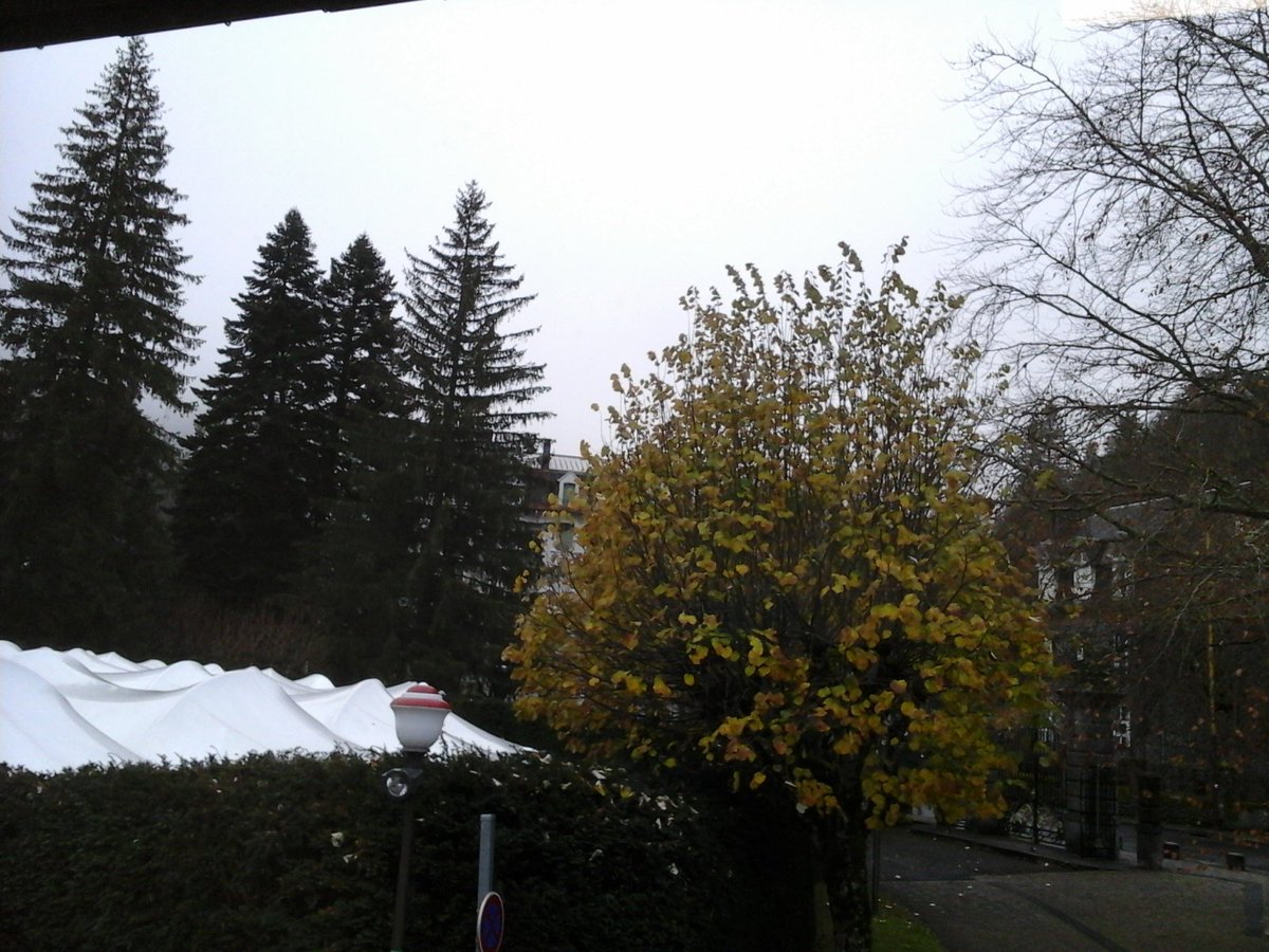 otmontdore's tweet photo. #meteosancy mercredi 17 novembre Le Mont-Dore 1°nuageux 9h04 @otsancy https://t.co/PimBqNSCyE