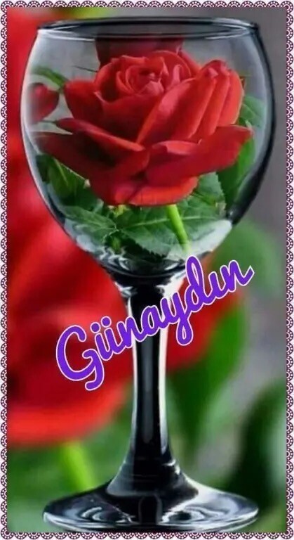 DilanDamla8's tweet photo. https://t.co/nlP1uYeTjz