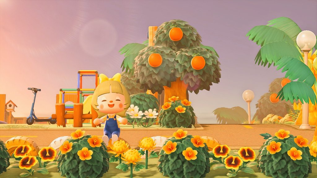 🌻ひまり🌻ヾ(⌒(_*'ω'*)_ tweet media