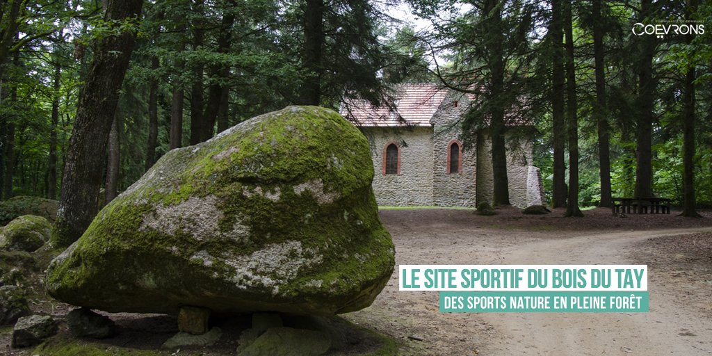 lescoevrons's tweet photo. 🌳🚶‍♀️ Le site du #bois du Tay à #Hambers est un espace préservé qui fait le bonheur des randonneurs à pied, à vélo avec son parcours de course d’orientation. Plusieurs circuits et départs ont été élaborés pour tous les publics : https://t.co/ZzqAh0E3bp @FFCOrientation https://t.co/FfL8GQa0Ob