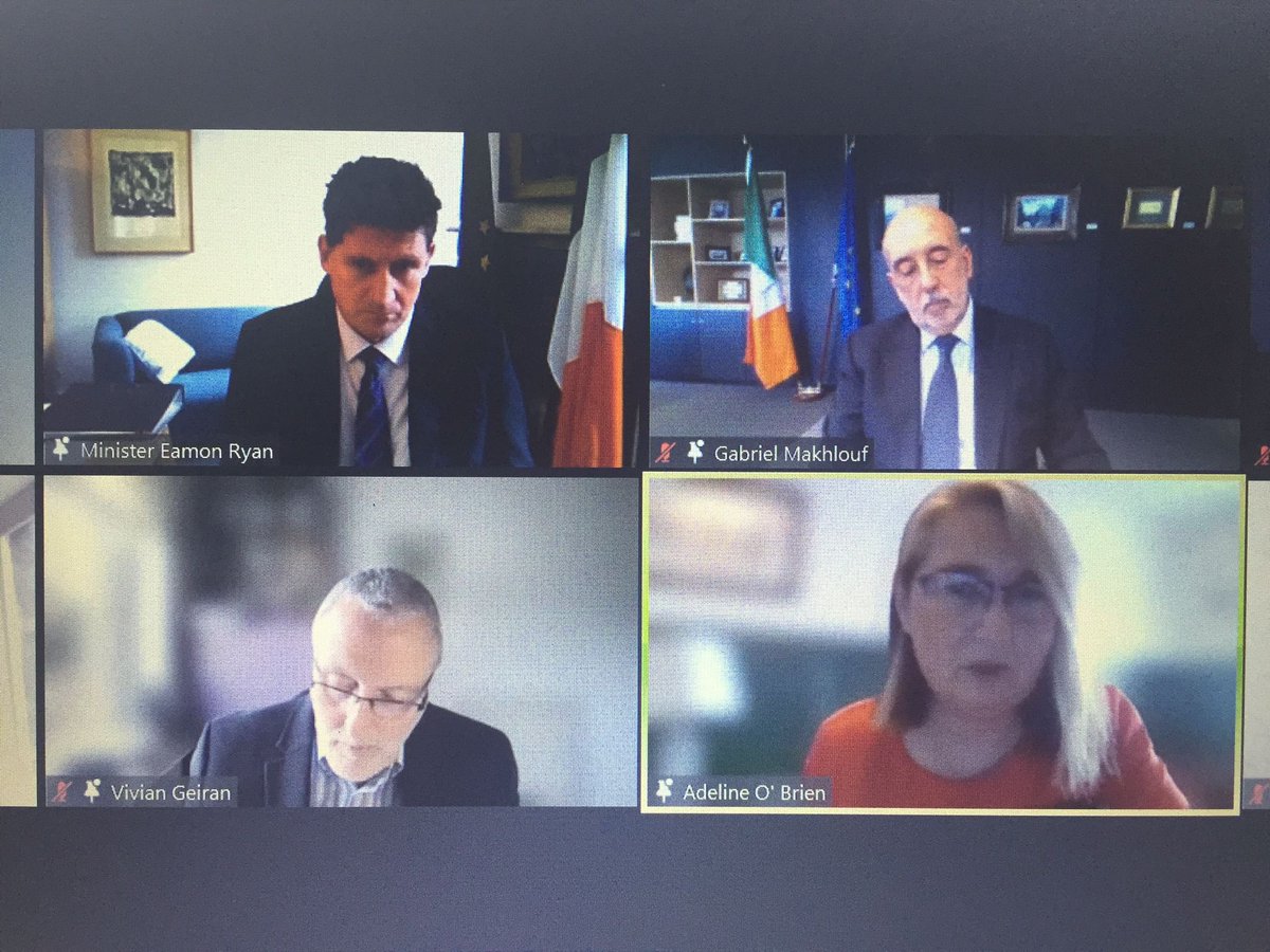 theILDN's tweet photo. Great to have the Local Development sector contributing at today’s Wellbeing Framework stakeholder event. Well done to our colleague @adeline_o_brien for talking about local development & need for locally based implementation of the national framework #understandinglifeinireland https://t.co/8RXZcStzBY