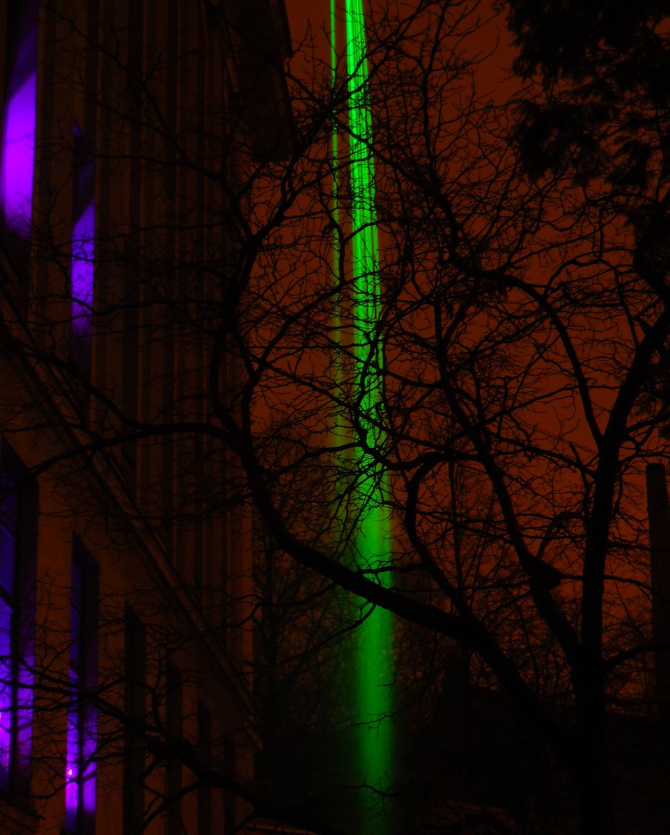 Dr Toms Rekis tweet media