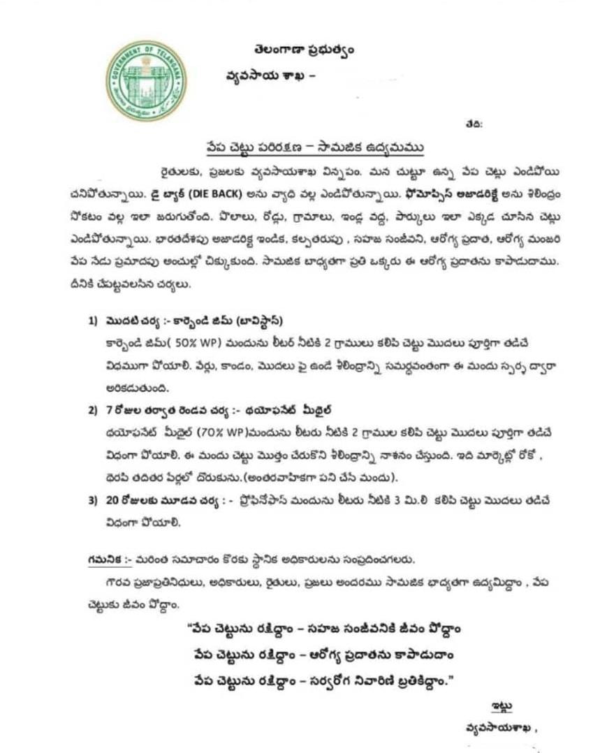HiHyderabad's tweet photo. #SaveNeemTrees 🌳🙏
It is observed that many Neem Trees in the state are drying out due to "Die Back" disease. Please Save Neem Trees in your localities, villages, towns, and cities by following below procedures.
@KTRTRS @arvindkumar_ias @krishna_dcf @HarithaHaram @TSMAUDOnline https://t.co/5Gc9d1ZrEb