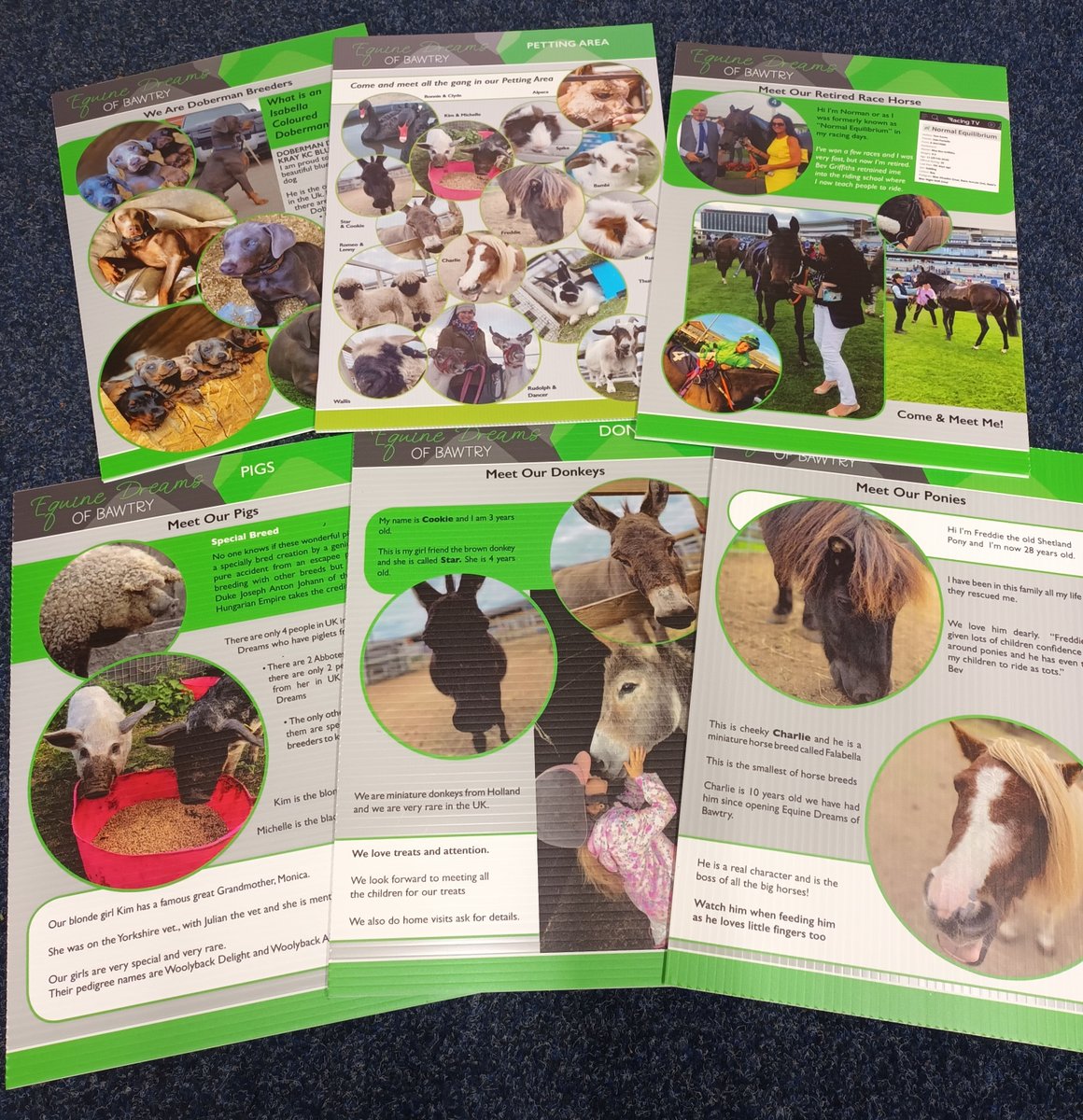 ElseClaire's tweet image. Correx A3 boards done for #EquineDreamsofBawtry will look amazing just a few of the collection #correxboards