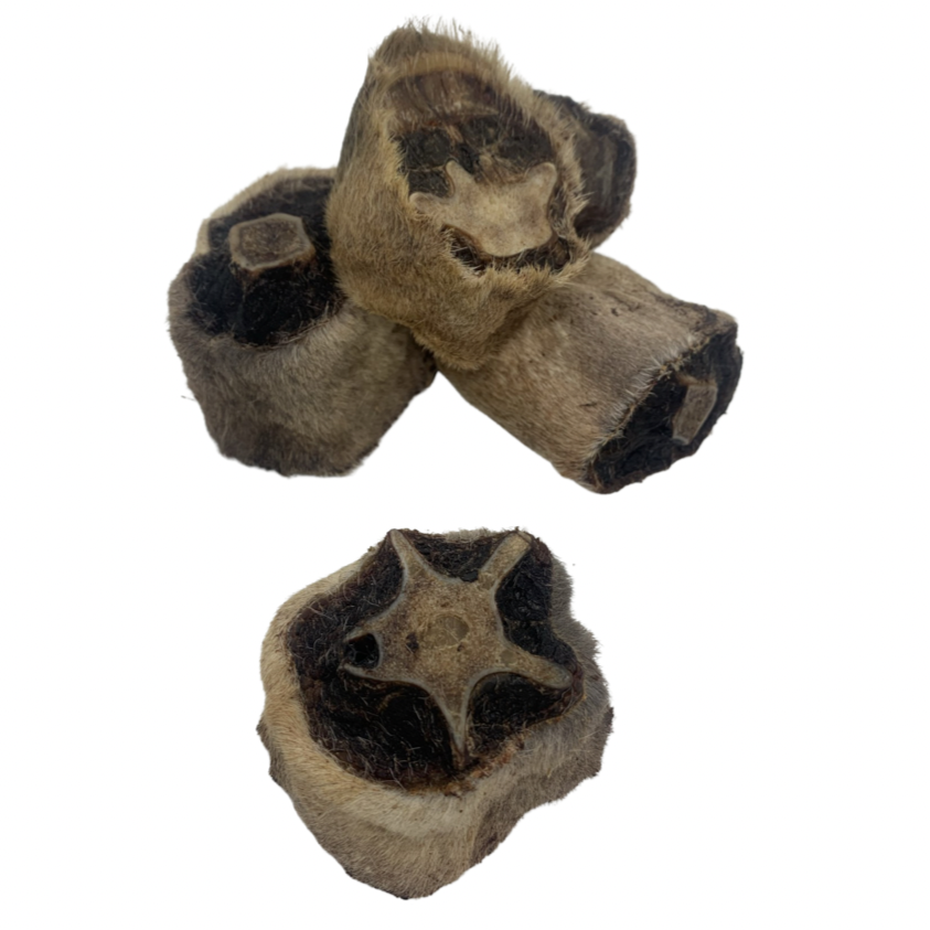 SunniesSnackos's tweet photo. New Product Alert: Locally Sourced Free Range Organic Kangaroo Tail Pieces, Full of Vitamin B3 and Omega 3! The Perfect Healthy Chew Treat to Keep your Pupper Occupied!

https://t.co/QIx3LxUAfw

#Kangaroo #dogelon #Christmas2021 #xmas2021 #local #localization https://t.co/0M6assWPKz