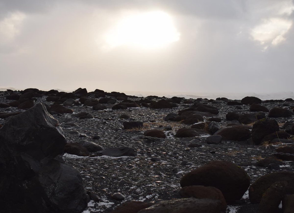 DanStables's tweet photo. My inner goth (his name is Ian) is very pleased with the black beach at Reynisfjara #RGontheroad https://t.co/FkbmY0fepK