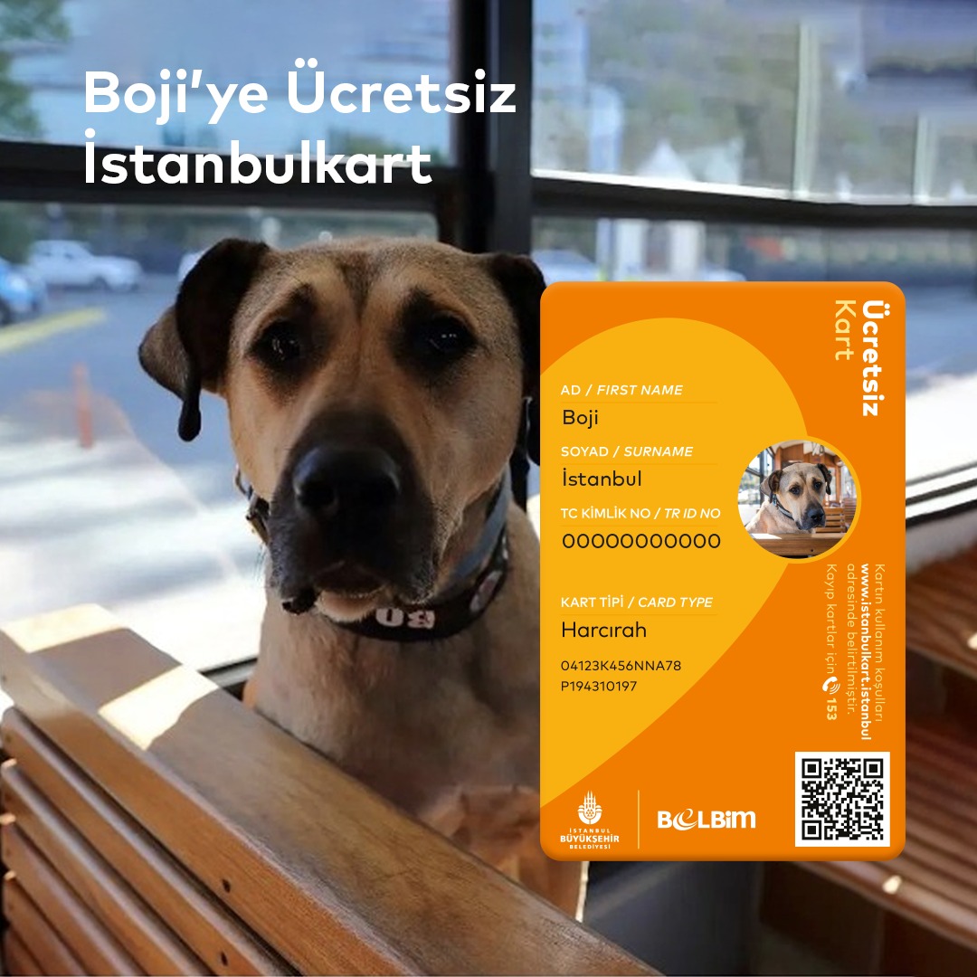 boji on twitter tasmama qr kod da ekleyebilirsiniz aslinda twitter