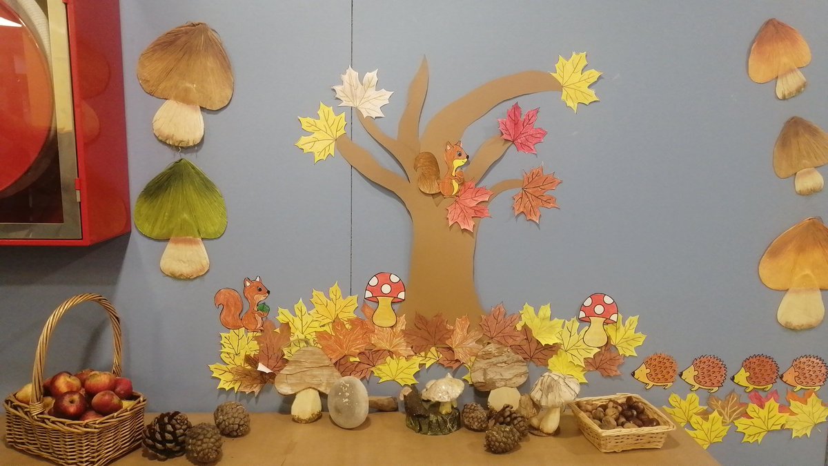 C.P.San José tweet media