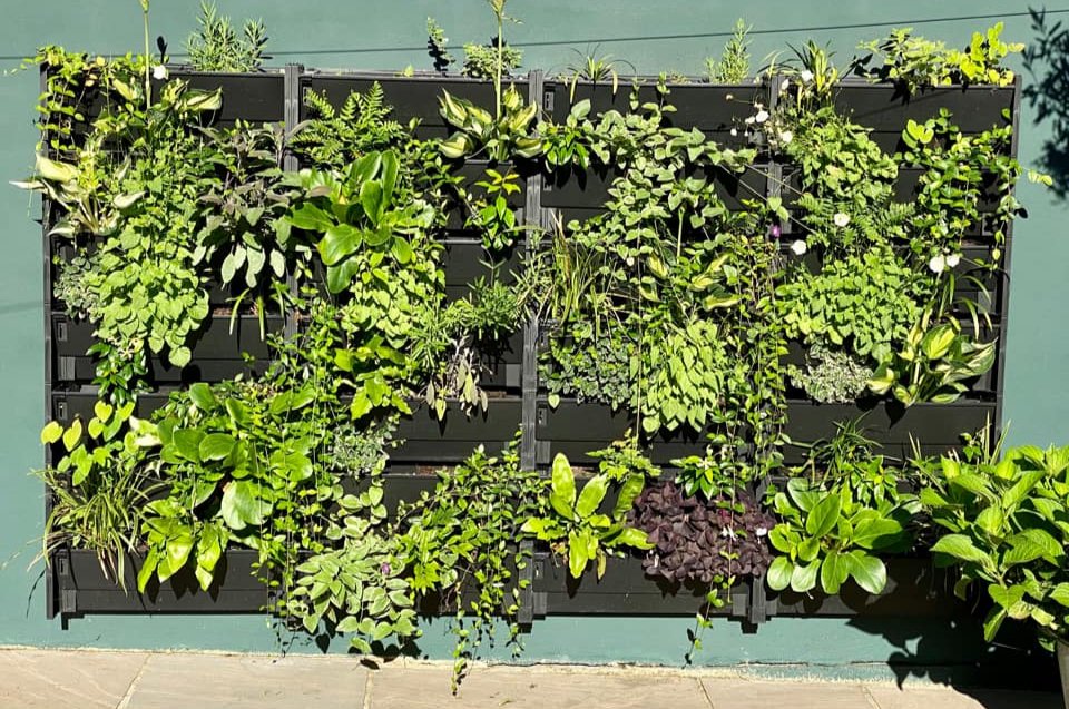 "Looking at this from my garden office, even on a rainy day like today, puts a smile on my face." — Diane

We'd love to say something about this #PlantBox living wall, but our jaws have dropped to the ground 😮