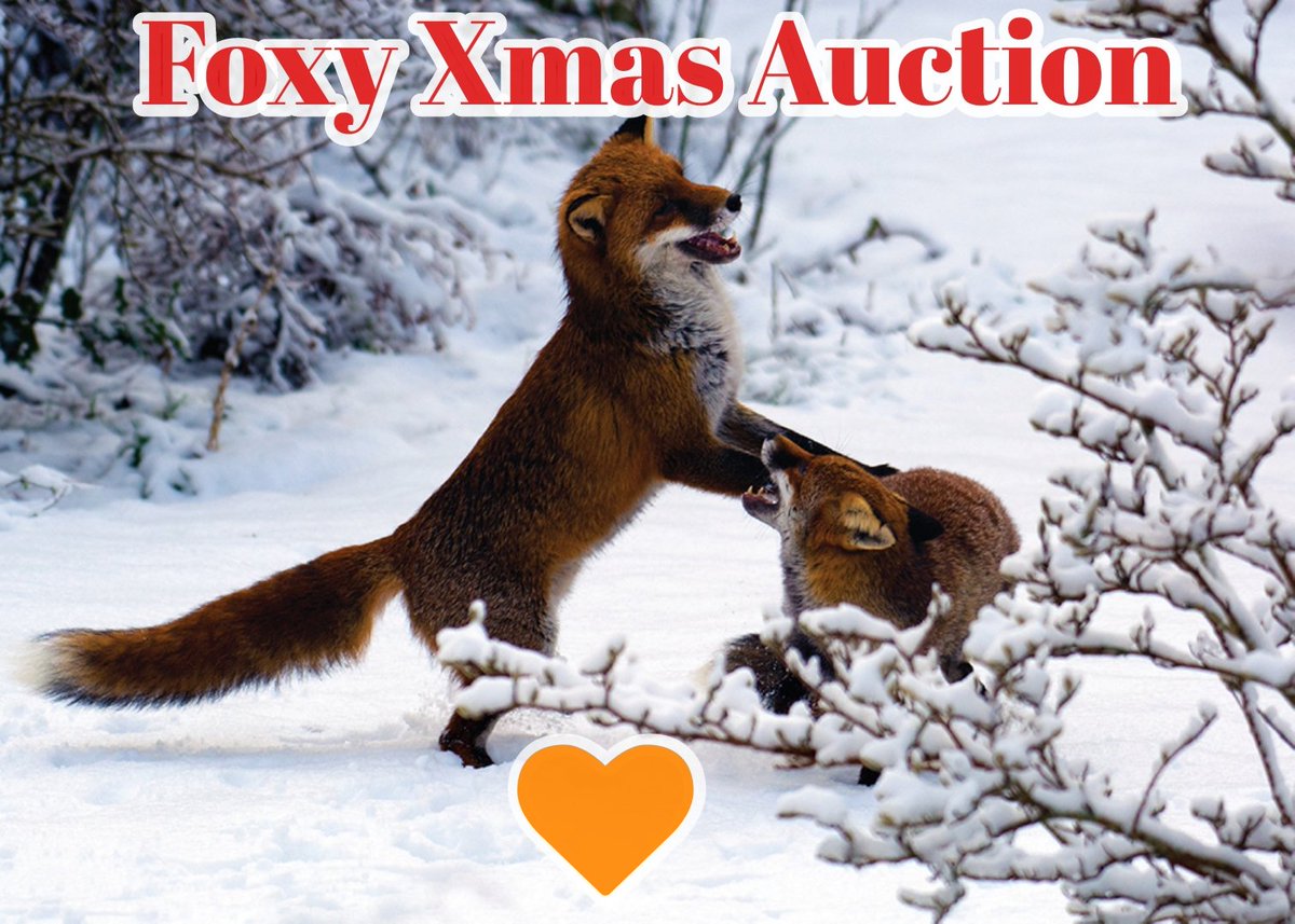 Looking for unique foxy treasures and want to support our work?🦊💝 Please join our fundraising group to browse and bid in our Christmas auction 🐾⭐ Auction ends 28.11  facebook.com/groups/foxguar… 🙏

#fox #foxes #fundraising #auction #lovefoxes #foxguardians #christmas #wildlife