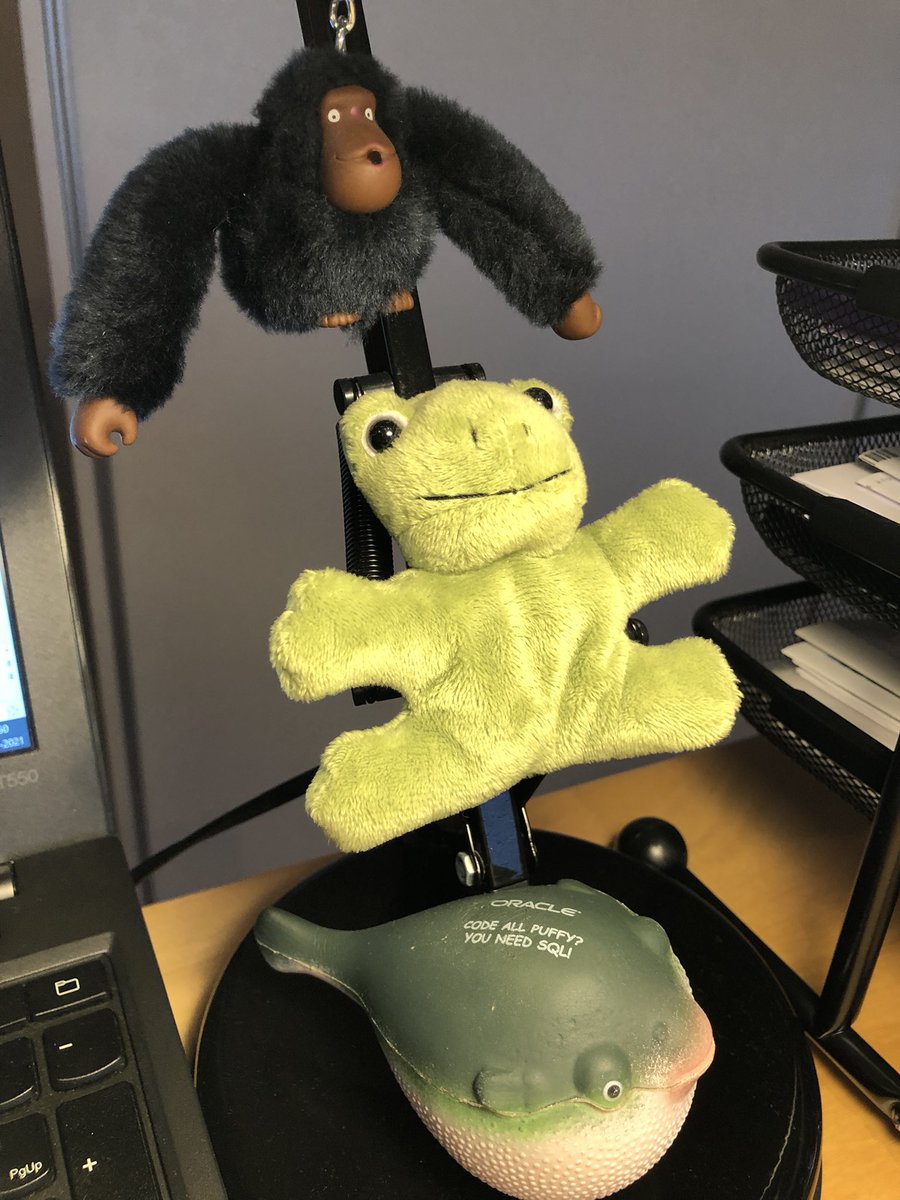 kibeha's tweet photo. Homeoffice is crawling with #confAnimals 😇
Monkey in green vest (Hr Nilsson) has been with me for 52 years.
The troll (Erik the Greek) has been with me 40 years.
#DOAG2021 https://t.co/GYQUKVa0Xu