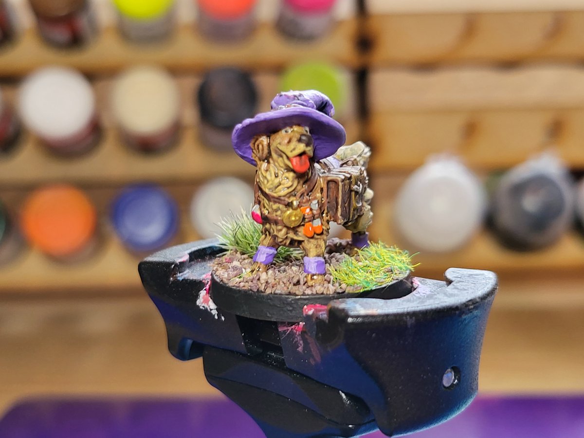 IamFeltip's tweet photo. @April_Prime The goodest boye in miniature form https://t.co/PQ8ssHh7GE