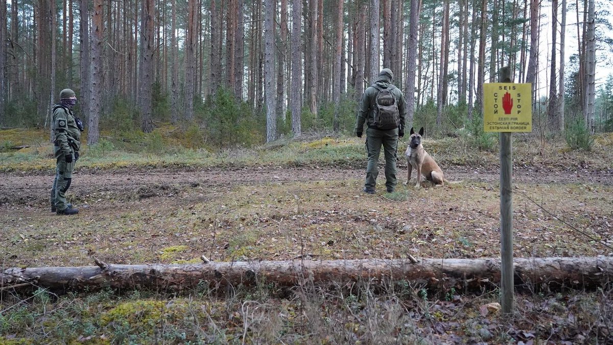Pillandia's tweet photo. International border between Estonia (foreground) and Russia (trees in the background).
Photo: 2020.
https://t.co/BMcpfrRVNA
#Setomaa #Setumaa #Pskov #Eestimaa #Eesti https://t.co/kIxsfd5dGQ