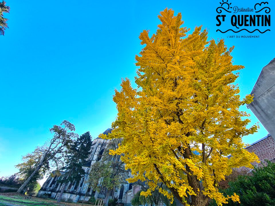 SaintQuentinois's tweet photo. Retombée Presse !
Un bel article dédié à #DestinationSaintQuentin a été publié sur le magazine en ligne Prestige's.
@a_saint_quentin a fait une belle impression à la journaliste !
À lire ici : https://t.co/UZqL9xphch
#jaimesaintquentin #saintquentin #artdeco #Patrimoine https://t.co/8kkQyP8IEi
