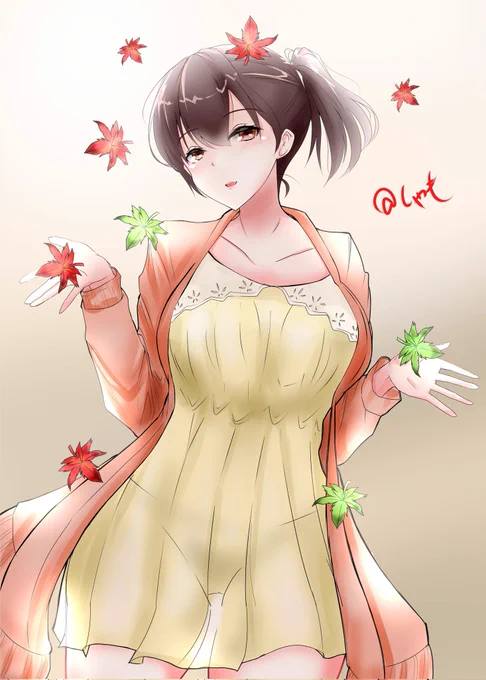 #加賀進水日
初描きの加賀さんから最近まで 