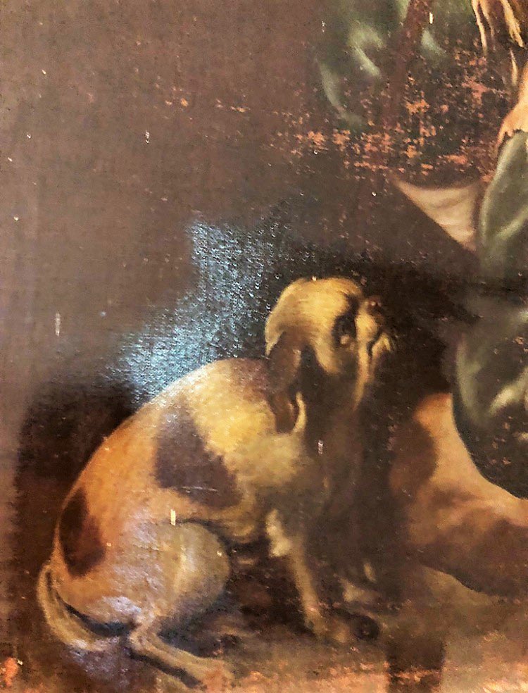PatrimoniuCorsu's tweet photo. La commune de Pietralba lance une collecte avec la Fondation du patrimoine pour restaurer trois tableaux, dont un magnifique San Rocco de Bernardo Strozzi.
Vous pouvez l’aider : https://t.co/SwEGOAPUuU https://t.co/zhJYHmyazd