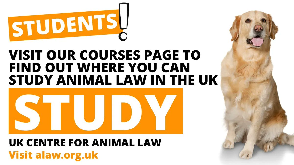 Interested in studying animal law? You can visit our courses page on our website and learn about where you can study animal law in the UK, as well as some international courses. 

Study animal law: buff.ly/3kUktpk