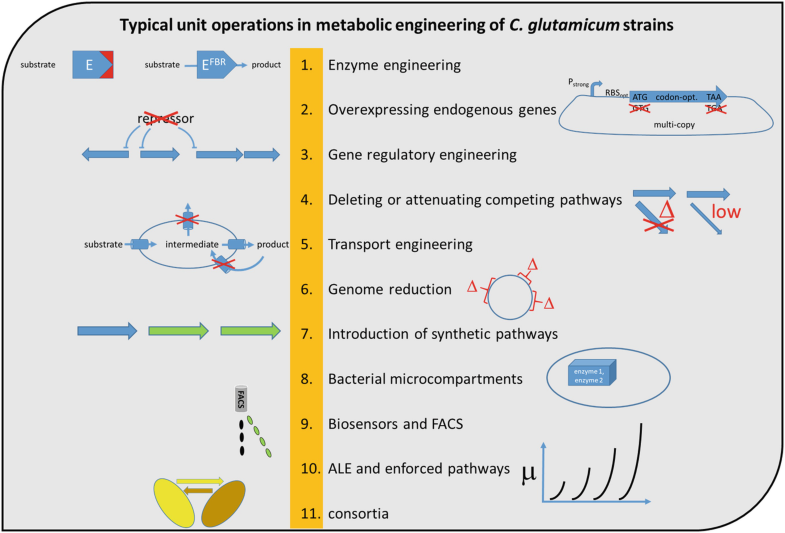 📖As our project is in its last year, we have several results to show. See the full list and a short description of publications so far ⤵️

indie.cebitec.uni-bielefeld.de/index.php/scie…

🧐many more coming up, so watch this space!