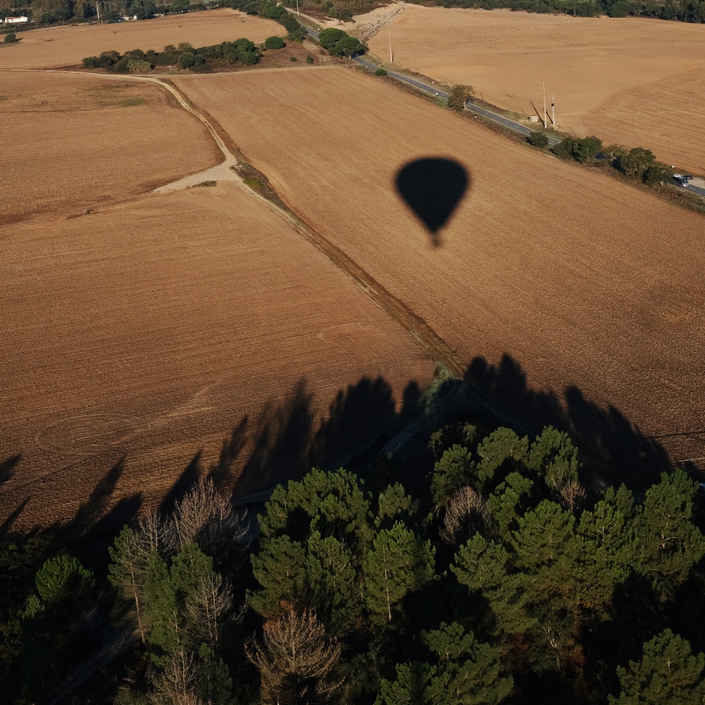 ViverOPorto's tweet photo. #festivalbalonismoCoruche
with #windpassenger
#balonismo #hotballoon #cepsa #visitcoruche #visitportugal #coruche #portugal #viveroporto_travel https://t.co/yJ4onpRZXG