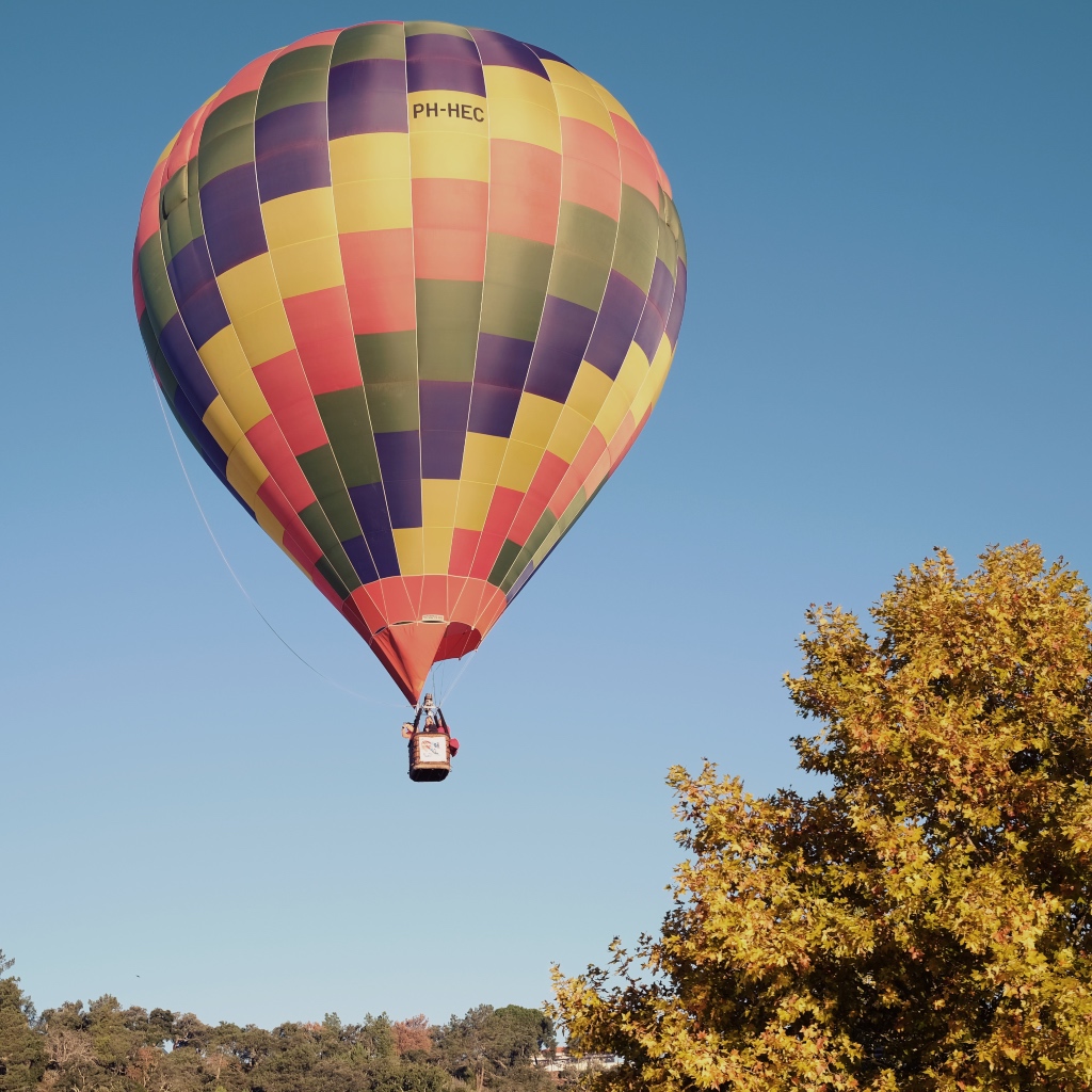 ViverOPorto's tweet photo. #festivalbalonismoCoruche
with #windpassenger
#balonismo #hotballoon #cepsa #visitcoruche #visitportugal #coruche #portugal #viveroporto_travel https://t.co/yJ4onpRZXG