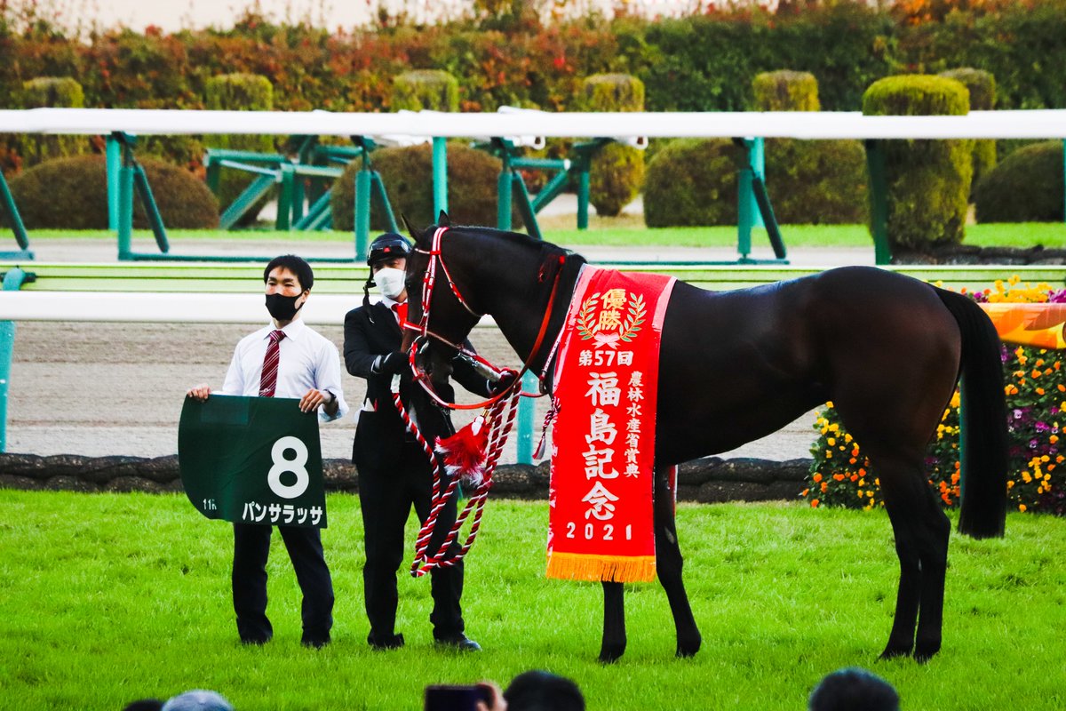 majesty_bio's tweet photo. 2021/11/14 福島11R・福島記念(GⅢ)

口取りに登場したパンサラッサ。矢作厩舎スタッフさんが観客側に馬を向けてくださいました！こういう配慮をサラリと出来る人達って素敵だなぁ。矢作厩舎、最高かよ！！
#福島記念 
#パンサラッサ 
#矢作芳人厩舎 https://t.co/PqZHH5Quh5
