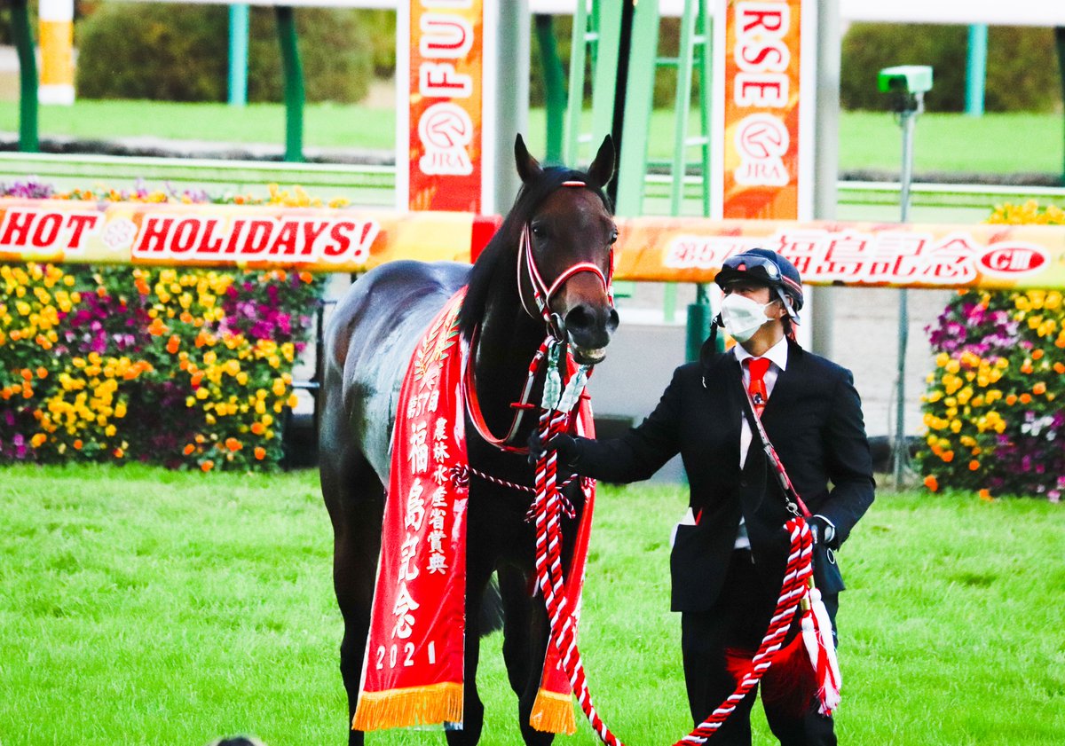 majesty_bio's tweet photo. 2021/11/14 福島11R・福島記念(GⅢ)

口取りに登場したパンサラッサ。矢作厩舎スタッフさんが観客側に馬を向けてくださいました！こういう配慮をサラリと出来る人達って素敵だなぁ。矢作厩舎、最高かよ！！
#福島記念 
#パンサラッサ 
#矢作芳人厩舎 https://t.co/PqZHH5Quh5
