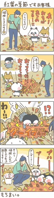 困ります～!
でも、気持ちは分かります～!

#もちもち #お客様困ります #アルバイト #コンビニ  #落ち葉 #紅葉 