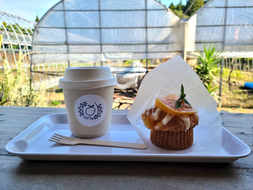 voichocoream1's tweet photo. 友達の実家のカフェでお茶😊💓
自然いっぱい囲まれてお茶もみかんのマフィンも美味しくて最高でした🍊
#東峯農園
#Brothercoffee https://t.co/zruWIuR8Mz