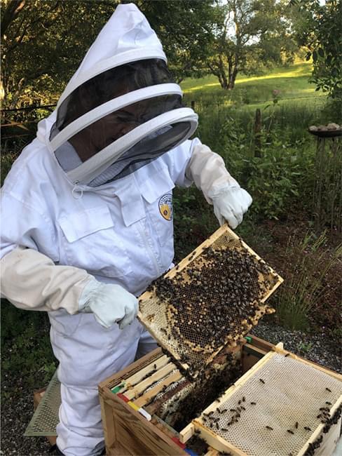 OCC_education's tweet photo. Our bees are under threat, and without them, our food and economy is at risk.
So, have a look around our website and see why weโre so passionate about them and find out what you can do to get involved.
https://t.co/KznLdbhBqA
#Bees #BeeKeeping #CSR #Environment #Bee1 https://t.co/dfuzTrWKCM