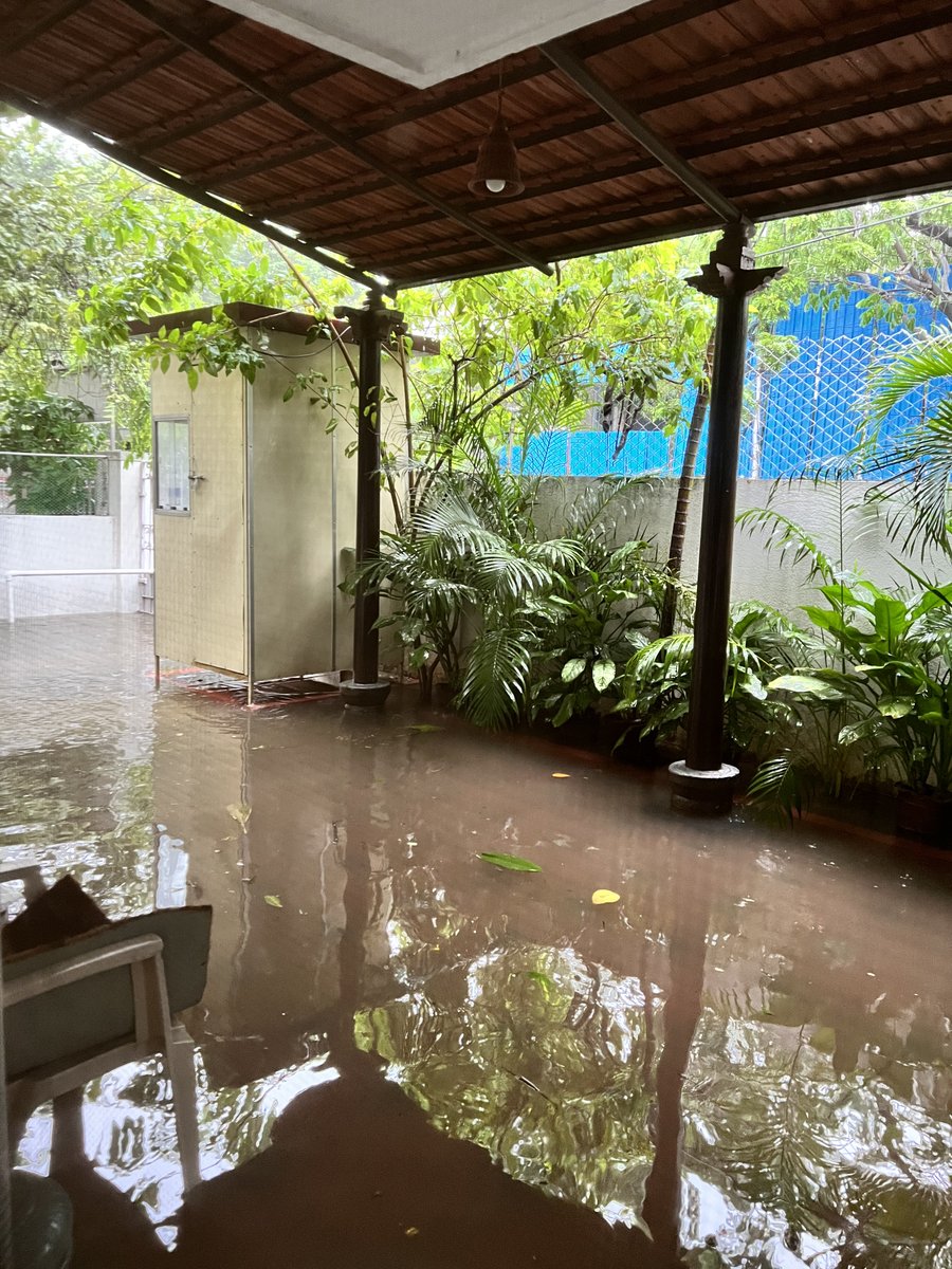 SunnyScribbler's tweet photo. @chennaicorp @GSBediIAS @snehadivakaran @SivaguruIAS @vishu_mahajan Storm water drain outside our house is blocked so rain water fills up on the road/platform and floods our house. This is happening frequently and my aged mother (71 years) is suffering severely to clean dirty road water from house everytime it rains. Happened twice last week. https://t.co/haRrCxPa6j
