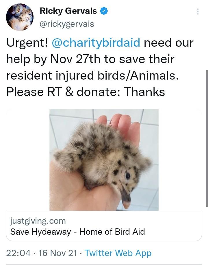 @charitybirdaid <a href="/rickygervais/">Ricky Gervais</a> <a href="/drscottym/">Scott Miller</a> <a href="/thismorning/">This Morning</a> <a href="/hollywills/">Holly Willoughby</a> <a href="/phillip/">phillip kerman</a> <a href="/hughbon/">Hugh Bonneville</a> <a href="/ThisisDavina/">Davina McCall</a> <a href="/FatboySlim/">Fatboy Slim</a> <a href="/rustyrockets/">Russell Brand</a> <a href="/Celeb_FC/">Celeb_FC</a> <a href="/ChrisGPackham/">Chris Packham</a> <a href="/carolvorders/">Carol Vorderman</a> <a href="/PaulMcCartney/">Paul McCartney</a> <a href="/DrBrianMay/">Dr. Brian May</a> <a href="/AnneatSaveMe/">Brian May's Save Me Trust</a> <a href="/DJSpoony/">DJ SPOONY</a> <a href="/michaelastracha/">Michaela Strachan</a> <a href="/KateBushMusic/">Kate Bush</a> <a href="/Dawn_French/">Dawn French 💙🔴🏳️‍🌈🇺🇦🇵🇸</a> @ferrifrump <a href="/domdyer70/">dominic dyer</a> join the voices. 10 DAYS !🐦