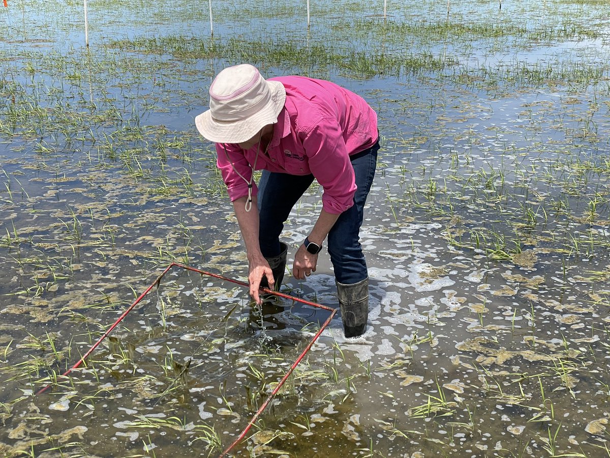 Brian Dunn tweet media