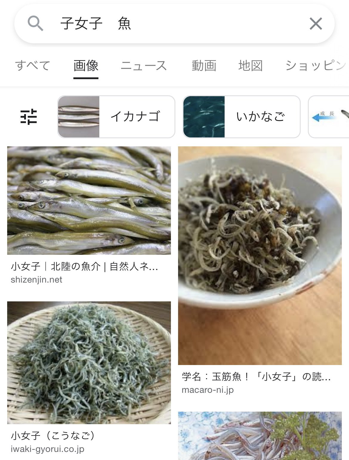 ぱさま確認ページ♡ エックスサーバーでベーシック認証を設定する方法を紹介