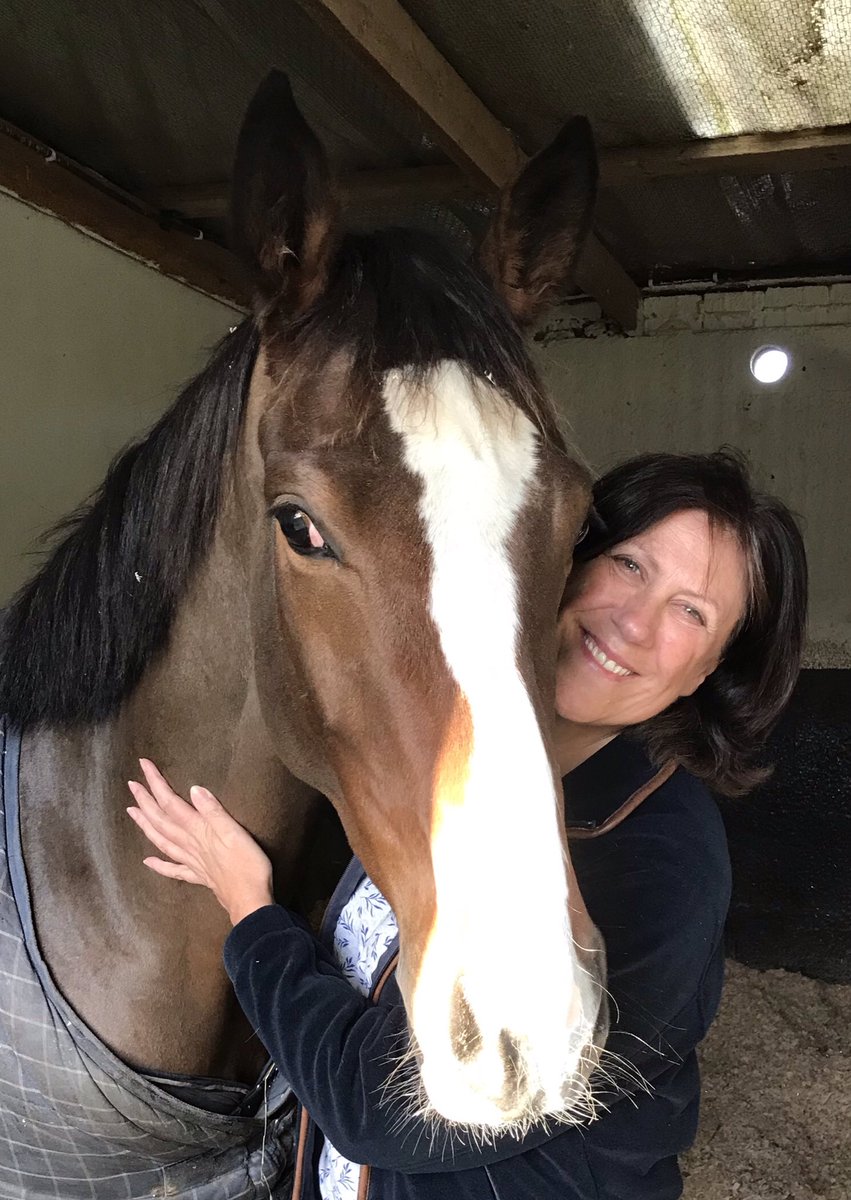 BecsBailey's tweet photo. I’m a day late, but every day is Horse Appreciation Day in my world ❤️ #AnneBonny #Ballymilan #CooleCharmer #OurReward https://t.co/WthFLGkYdf