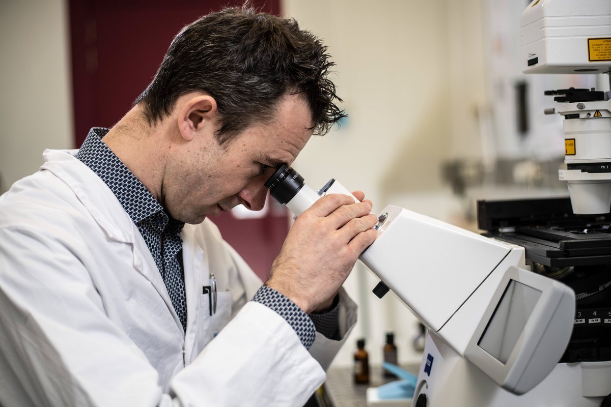 KULeuvenKulak's tweet photo. EU-programma’s zijn een welkome stimulans voor wetenschappelijk succes, zegt prof. Lieven Thorrez van het Tissue Engineering Lab in een nieuwe #Europablog. Lees zijn bijdrage via https://t.co/GFD4vCO5Hc @provinciewvl https://t.co/R9heyLByDN