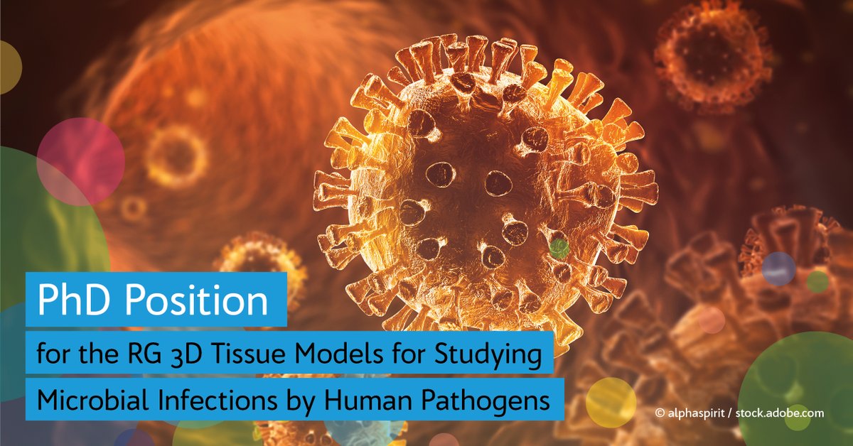 The <a href="/Uni_WUE/">Universität Würzburg #UniWürzburg</a> offers a #PhD position for the RG 3D #TissueModels for Studying #MicrobialInfections by #HumanPathogens. Apply until Nov28th👉uni-wuerzburg.de/aktuelles/jobs… #PleaseRT @Fraunhofer_ISC <a href="/WestermannLab/">Westermann lab</a> <a href="/lab_rudel/">Rudel Lab</a> <a href="/SharmaLab1/">Sharma Lab</a> <a href="/TobbeKunz/">Tobias C. Kunz</a> <a href="/MarvinJungblut/">Marvin Jungblut</a> @FabianK6665 <a href="/GoharMaedler/">gohar.maedler</a>
