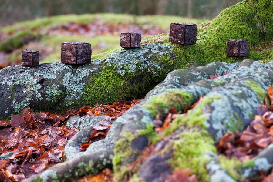 It's not rude when you don't take offence.
.
.
.
#paired #duality #landart #natureart #ephemeralart #artinnature #life #autumn #fall #landartist #environmentalart #transience #flux #richardshilling #organic #sitespecific #evolution #impermanence #nonduality