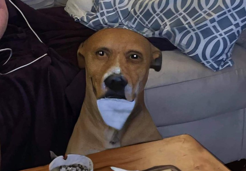 FEYv5WEWQAACFdz?format=png&name=900x900