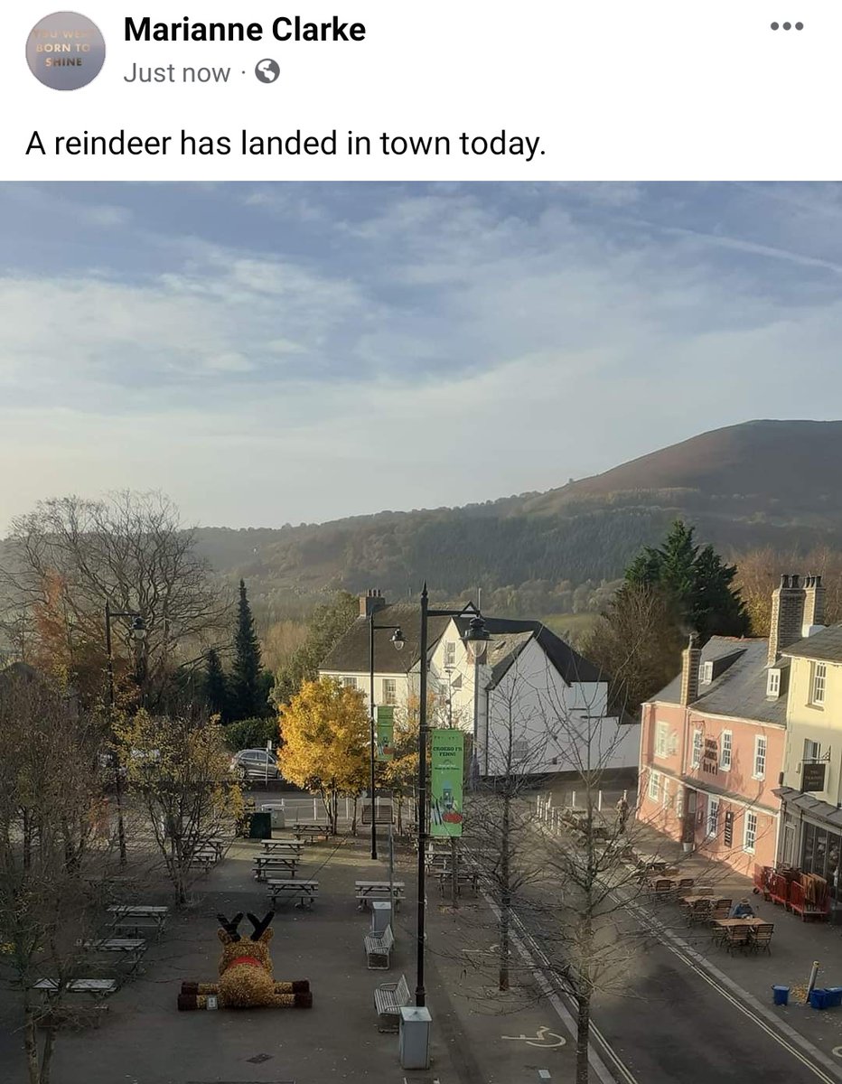 Rudolph has landed in Abergavenny