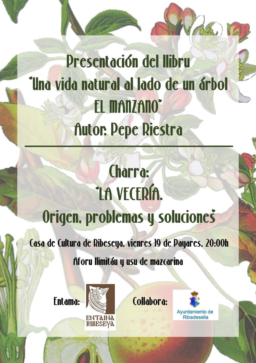 Biblioteca Ribadesella "Enriqueta González Rubín" tweet media