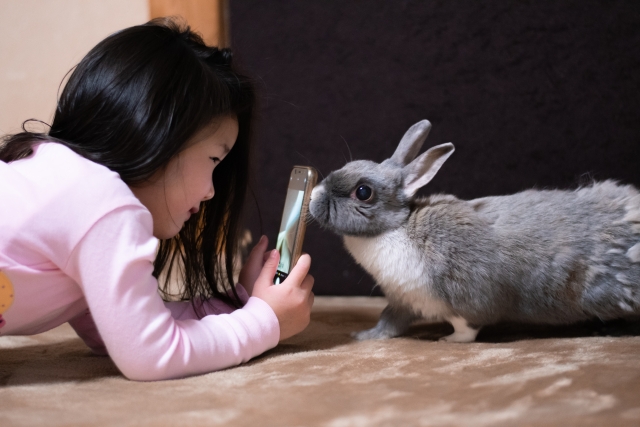一般社団法人うさぎの環境エンリッチメント協会 うさぎ さんの 遊び は自己完結型です 犬や猫などはヒトと一緒に遊んだりしますが 追われる側のうさぎさんはヒトと楽しむスタイルが成立しにくい面があることを知っておいてください ヒトとの暮らしに適応 一般社団法人うさぎの環境エンリッチメント協会 うさぎ さんの 遊び は自己完結型です 犬や猫などはヒトと一緒に遊んだりしますが 追われる側のうさぎさんはヒトと楽しむスタイルが成立しにくい面があることを知っておいてください ヒトとの暮らしに適応