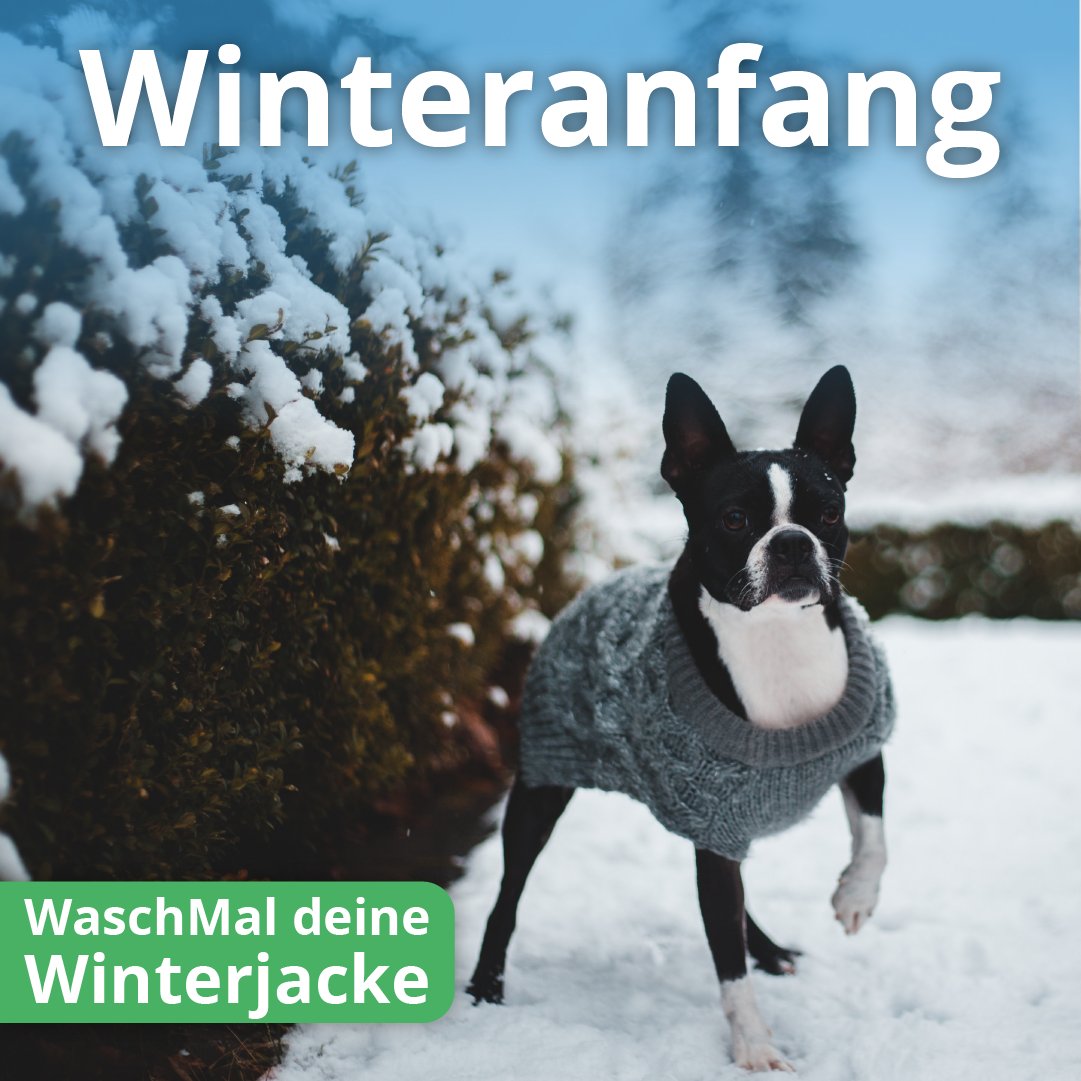 Wasch_Mal's tweet photo. Mit einer schonenden Reinigung unterstützt du die Langlebigkeit deiner Wintertextilien. ❄☃️ ⁠
⠀⁠
Einfach online im Web &amp; App Liefertermin buchen⁠. Teile deinen Wintergeheimtipp mit deinen Freunden &amp; erhaltet beide einen 10€ Gutschein auf die nächste Reinigung. 💸⠀⁠
⠀⁠ https://t.co/eg4f6hVG2p