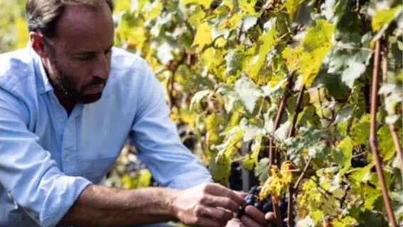 iDealwine's tweet photo. Que faites-vous ce soir ? Nous, nous recevons en Live Instagram le directeur général du château @Ch_deFerrand , 👨🍇Gonzague de Lambert. C'est à 18h sur notre compte ! 🍷
@Gonzaguedl #bordeaux #vins https://t.co/7dvkUIvcNC