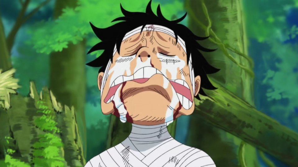 Anime Me After Watching One Piece Ep 4 491 I Can T Onepiece Anime T Co 7fumx9qv44 Twitter