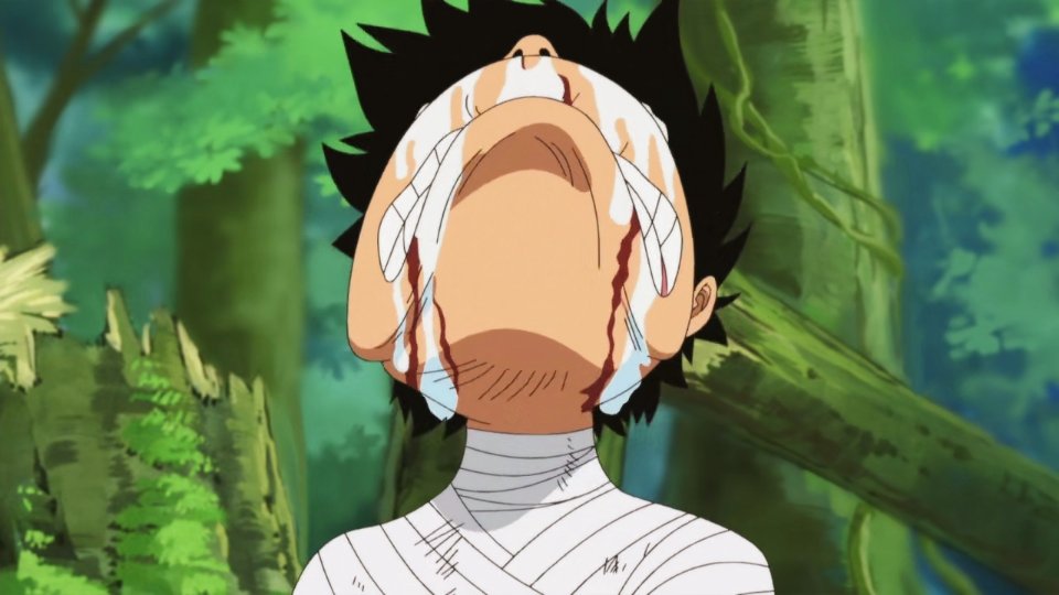 Anime Me After Watching One Piece Ep 4 491 I Can T Onepiece Anime T Co 7fumx9qv44 Twitter